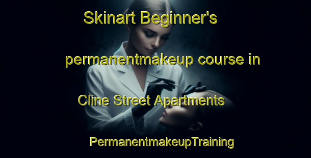 Skinart Beginner's permanentmakeup course in Cline Street Apartments | #PermanentmakeupTraining #PermanentmakeupClasses #SkinartTraining-United States