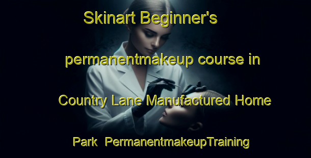 Skinart Beginner's permanentmakeup course in Country Lane Manufactured Home Park | #PermanentmakeupTraining #PermanentmakeupClasses #SkinartTraining-United States