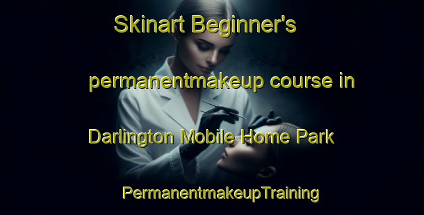 Skinart Beginner's permanentmakeup course in Darlington Mobile Home Park | #PermanentmakeupTraining #PermanentmakeupClasses #SkinartTraining-United States