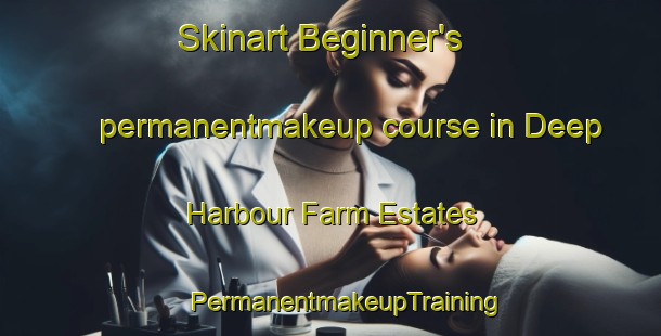 Skinart Beginner's permanentmakeup course in Deep Harbour Farm Estates | #PermanentmakeupTraining #PermanentmakeupClasses #SkinartTraining-United States