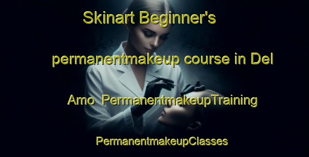 Skinart Beginner's permanentmakeup course in Del Amo | #PermanentmakeupTraining #PermanentmakeupClasses #SkinartTraining-United States