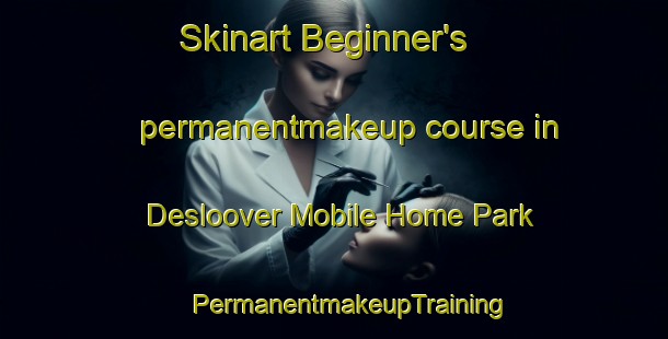 Skinart Beginner's permanentmakeup course in Desloover Mobile Home Park | #PermanentmakeupTraining #PermanentmakeupClasses #SkinartTraining-United States