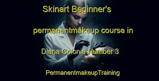 Skinart Beginner's permanentmakeup course in Diana Colonia Number 3 | #PermanentmakeupTraining #PermanentmakeupClasses #SkinartTraining-United States