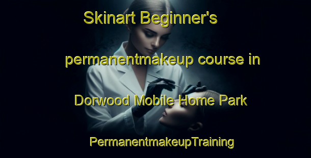 Skinart Beginner's permanentmakeup course in Dorwood Mobile Home Park | #PermanentmakeupTraining #PermanentmakeupClasses #SkinartTraining-United States