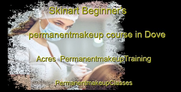 Skinart Beginner's permanentmakeup course in Dove Acres | PermanentmakeupTraining | PermanentmakeupClasses | SkinartTraining-United States