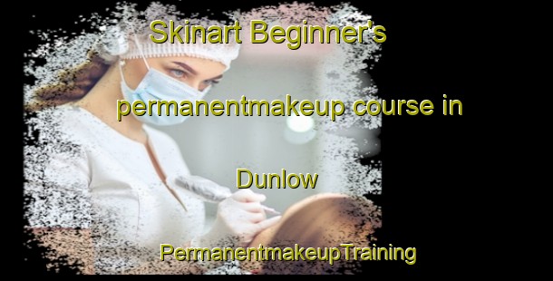 Skinart Beginner's permanentmakeup course in Dunlow | #PermanentmakeupTraining #PermanentmakeupClasses #SkinartTraining-United States