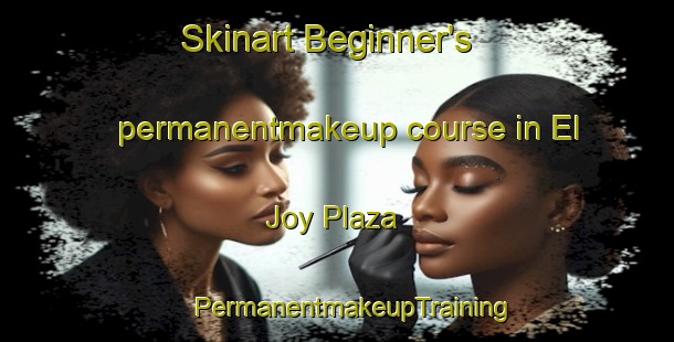 Skinart Beginner's permanentmakeup course in El Joy Plaza | #PermanentmakeupTraining #PermanentmakeupClasses #SkinartTraining-United States