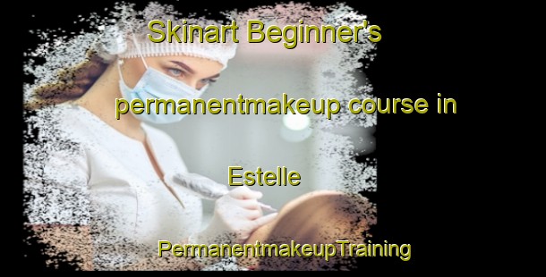 Skinart Beginner's permanentmakeup course in Estelle | #PermanentmakeupTraining #PermanentmakeupClasses #SkinartTraining-United States