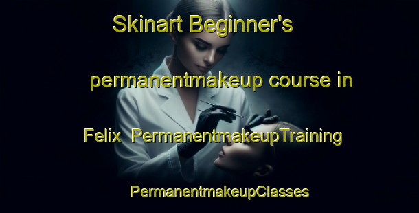 Skinart Beginner's permanentmakeup course in Felix | #PermanentmakeupTraining #PermanentmakeupClasses #SkinartTraining-United States