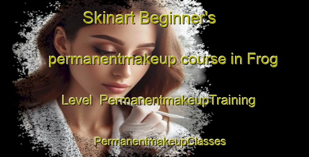 Skinart Beginner's permanentmakeup course in Frog Level | PermanentmakeupTraining | PermanentmakeupClasses | SkinartTraining-United States