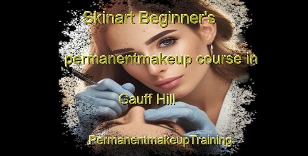 Skinart Beginner's permanentmakeup course in Gauff Hill | #PermanentmakeupTraining #PermanentmakeupClasses #SkinartTraining-United States