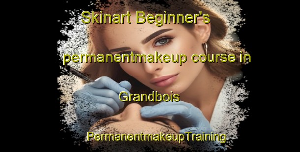 Skinart Beginner's permanentmakeup course in Grandbois | #PermanentmakeupTraining #PermanentmakeupClasses #SkinartTraining-United States