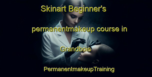 Skinart Beginner's permanentmakeup course in Grandbois | #PermanentmakeupTraining #PermanentmakeupClasses #SkinartTraining-United States