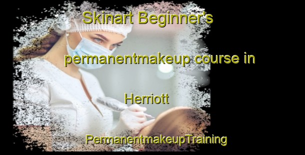Skinart Beginner's permanentmakeup course in Herriott | PermanentmakeupTraining | PermanentmakeupClasses | SkinartTraining-United States
