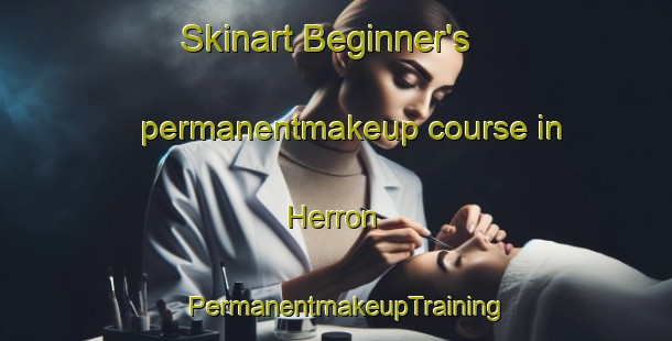 Skinart Beginner's permanentmakeup course in Herron | PermanentmakeupTraining | PermanentmakeupClasses | SkinartTraining-United States