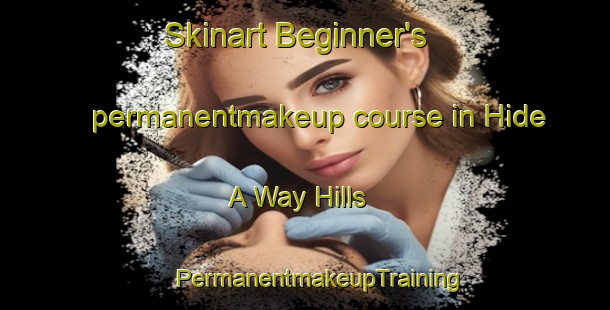 Skinart Beginner's permanentmakeup course in Hide A Way Hills | #PermanentmakeupTraining #PermanentmakeupClasses #SkinartTraining-United States