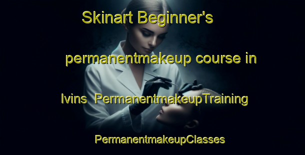 Skinart Beginner's permanentmakeup course in Ivins | #PermanentmakeupTraining #PermanentmakeupClasses #SkinartTraining-United States