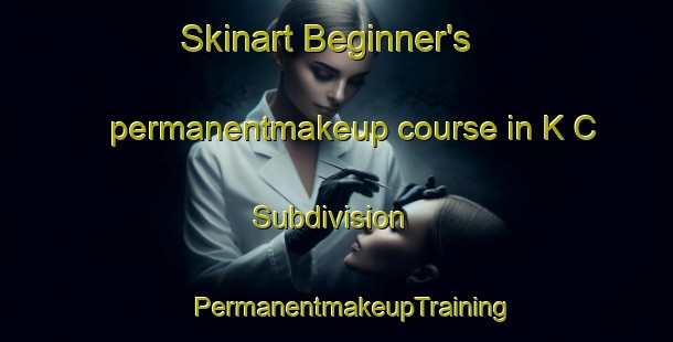 Skinart Beginner's permanentmakeup course in K C Subdivision | #PermanentmakeupTraining #PermanentmakeupClasses #SkinartTraining-United States