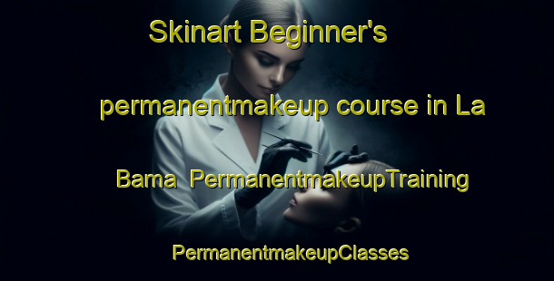 Skinart Beginner's permanentmakeup course in La Bama | #PermanentmakeupTraining #PermanentmakeupClasses #SkinartTraining-United States