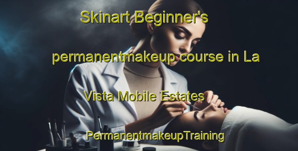 Skinart Beginner's permanentmakeup course in La Vista Mobile Estates | #PermanentmakeupTraining #PermanentmakeupClasses #SkinartTraining-United States