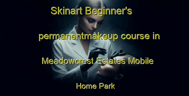 Skinart Beginner's permanentmakeup course in Meadowcrest Estates Mobile Home Park | #PermanentmakeupTraining #PermanentmakeupClasses #SkinartTraining-United States