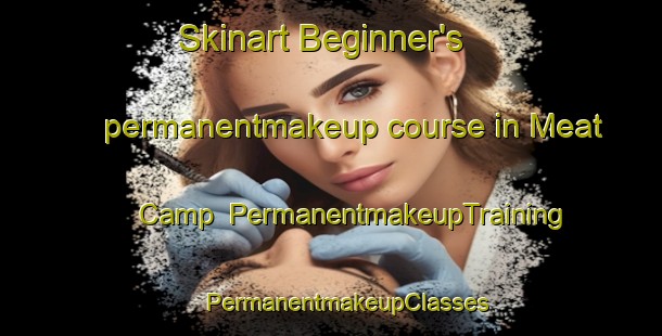 Skinart Beginner's permanentmakeup course in Meat Camp | #PermanentmakeupTraining #PermanentmakeupClasses #SkinartTraining-United States