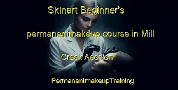 Skinart Beginner's permanentmakeup course in Mill Creek Addition | #PermanentmakeupTraining #PermanentmakeupClasses #SkinartTraining-United States