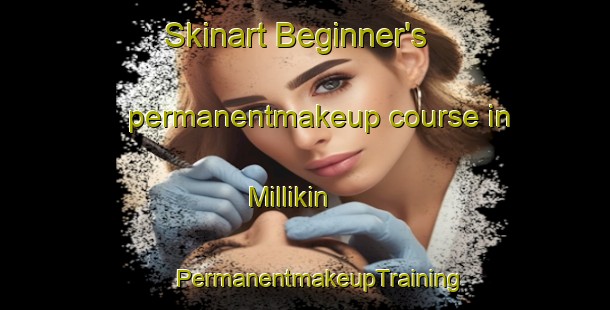 Skinart Beginner's permanentmakeup course in Millikin | #PermanentmakeupTraining #PermanentmakeupClasses #SkinartTraining-United States