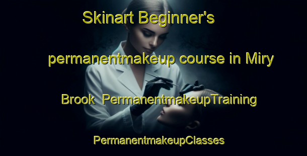 Skinart Beginner's permanentmakeup course in Miry Brook | PermanentmakeupTraining | PermanentmakeupClasses | SkinartTraining-United States