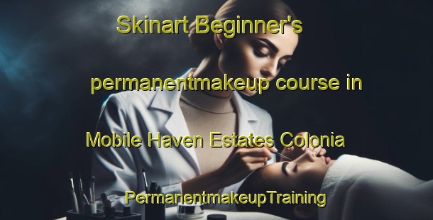 Skinart Beginner's permanentmakeup course in Mobile Haven Estates Colonia | #PermanentmakeupTraining #PermanentmakeupClasses #SkinartTraining-United States