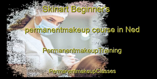 Skinart Beginner's permanentmakeup course in Ned | #PermanentmakeupTraining #PermanentmakeupClasses #SkinartTraining-United States