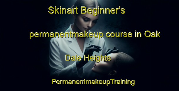 Skinart Beginner's permanentmakeup course in Oak Dale Heights | #PermanentmakeupTraining #PermanentmakeupClasses #SkinartTraining-United States