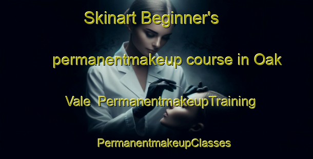 Skinart Beginner's permanentmakeup course in Oak Vale | #PermanentmakeupTraining #PermanentmakeupClasses #SkinartTraining-United States