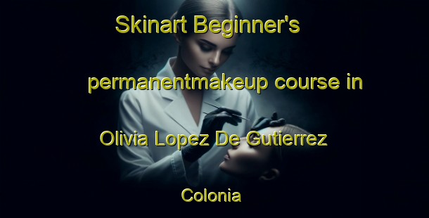 Skinart Beginner's permanentmakeup course in Olivia Lopez De Gutierrez Colonia | #PermanentmakeupTraining #PermanentmakeupClasses #SkinartTraining-United States