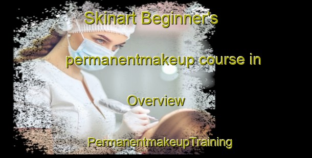 Skinart Beginner's permanentmakeup course in Overview | PermanentmakeupTraining | PermanentmakeupClasses | SkinartTraining-United States