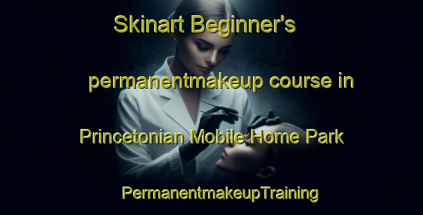 Skinart Beginner's permanentmakeup course in Princetonian Mobile Home Park | #PermanentmakeupTraining #PermanentmakeupClasses #SkinartTraining-United States