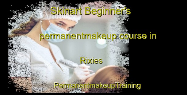 Skinart Beginner's permanentmakeup course in Rixies | #PermanentmakeupTraining #PermanentmakeupClasses #SkinartTraining-United States