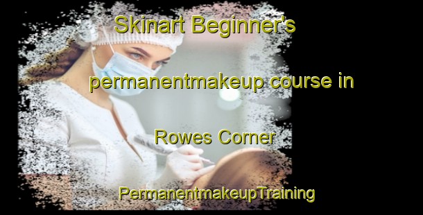 Skinart Beginner's permanentmakeup course in Rowes Corner | PermanentmakeupTraining | PermanentmakeupClasses | SkinartTraining-United States