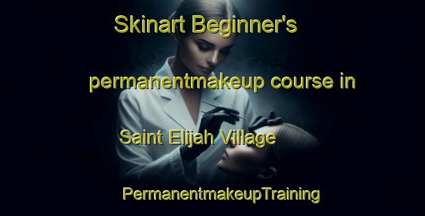 Skinart Beginner's permanentmakeup course in Saint Elijah Village | #PermanentmakeupTraining #PermanentmakeupClasses #SkinartTraining-United States