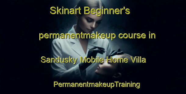 Skinart Beginner's permanentmakeup course in Sandusky Mobile Home Villa | #PermanentmakeupTraining #PermanentmakeupClasses #SkinartTraining-United States