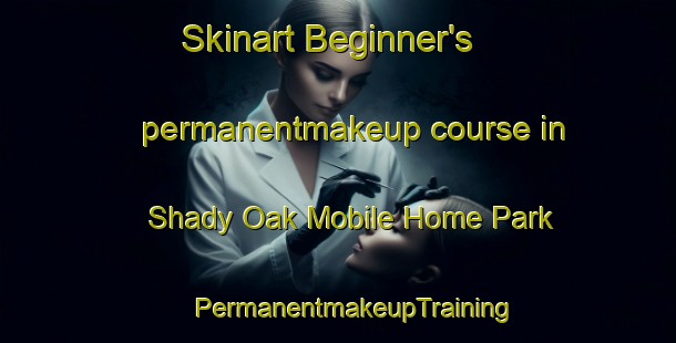 Skinart Beginner's permanentmakeup course in Shady Oak Mobile Home Park | #PermanentmakeupTraining #PermanentmakeupClasses #SkinartTraining-United States