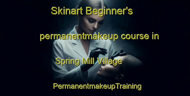Skinart Beginner's permanentmakeup course in Spring Mill Village | PermanentmakeupTraining | PermanentmakeupClasses | SkinartTraining-United States