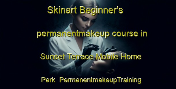 Skinart Beginner's permanentmakeup course in Sunset Terrace Mobile Home Park | #PermanentmakeupTraining #PermanentmakeupClasses #SkinartTraining-United States