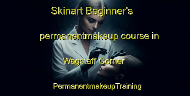 Skinart Beginner's permanentmakeup course in Wagstaff Corner | PermanentmakeupTraining | PermanentmakeupClasses | SkinartTraining-United States