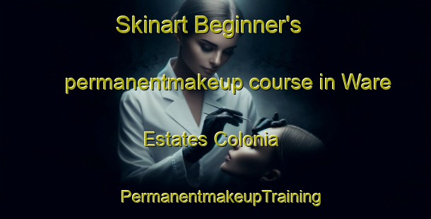 Skinart Beginner's permanentmakeup course in Ware Estates Colonia | PermanentmakeupTraining | PermanentmakeupClasses | SkinartTraining-United States