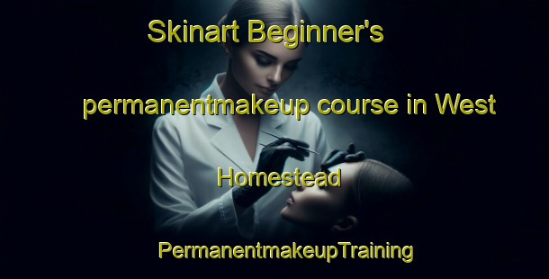 Skinart Beginner's permanentmakeup course in West Homestead | #PermanentmakeupTraining #PermanentmakeupClasses #SkinartTraining-United States