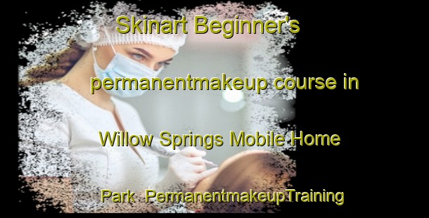 Skinart Beginner's permanentmakeup course in Willow Springs Mobile Home Park | #PermanentmakeupTraining #PermanentmakeupClasses #SkinartTraining-United States