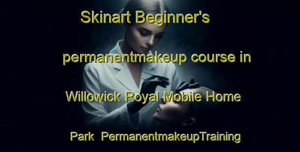 Skinart Beginner's permanentmakeup course in Willowick Royal Mobile Home Park | #PermanentmakeupTraining #PermanentmakeupClasses #SkinartTraining-United States