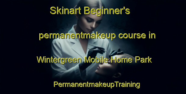 Skinart Beginner's permanentmakeup course in Wintergreen Mobile Home Park | #PermanentmakeupTraining #PermanentmakeupClasses #SkinartTraining-United States