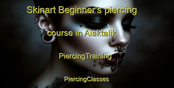 Skinart Beginner's piercing course in Aiaktalik | #PiercingTraining #PiercingClasses #SkinartTraining-United States